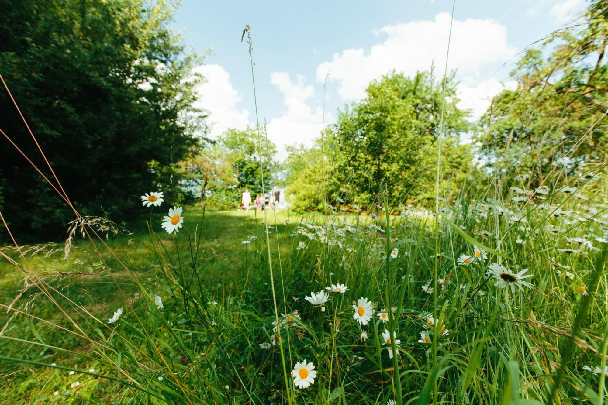 Feriendomizil Alter Garten Temmen-Ringenwalde Ngoại thất bức ảnh